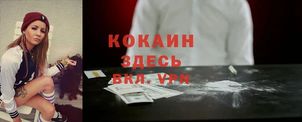 сатива Анива