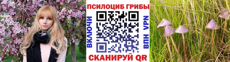 цена наркотик  Новомичуринск  Галлюциногенные грибы MAGIC MUSHROOMS 